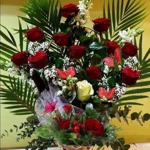 Meet your Posher, Rocio